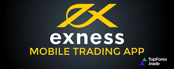 Comprehensive Guide to Exness Multiterminal Download 16 Comprehensive Guide to Exness Multiterminal Download 16
